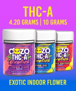 Exotics