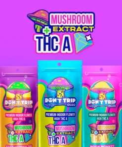 Dozo Mushroom Disposable